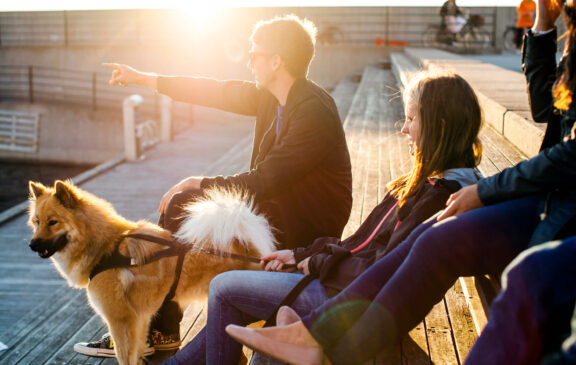 Welcome to Queen's Marque 6